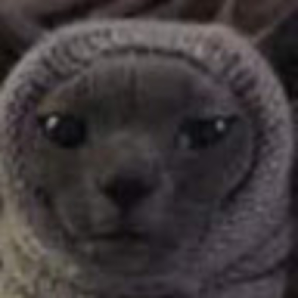 Meet your Posher, Crumbus